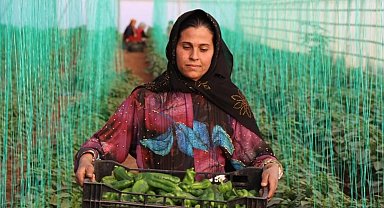 Tarım-GFE yıllık yüzde 41,33 arttı