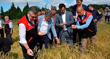 Tarım Liseli öğrencilerden çeltik hasadı