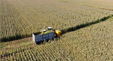 Tarım-ÜFE yıllık yüzde 71,96 arttı