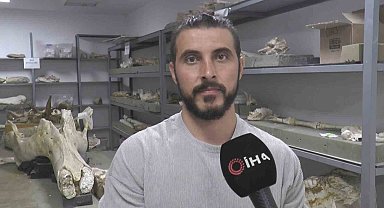 Taşhan kazılarında 'zürafa yılı'