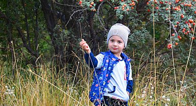 Tatvan'da "Sonbahar" güzelliği