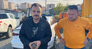 Tekirdağ'da Ebabil kuşu bulundu