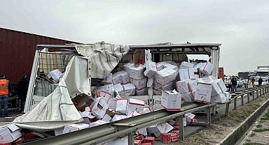 Tem Otoyolu'nda seyir halindeki tır emniyet şeridinde duran başka bir tıra çarptı