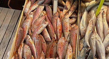 Tezgahlarda balık bolluğu