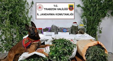 Trabzon'da 41 kilogram uyuşturucu madde ele geçirildi, 5 şüpheli gözaltına alındı