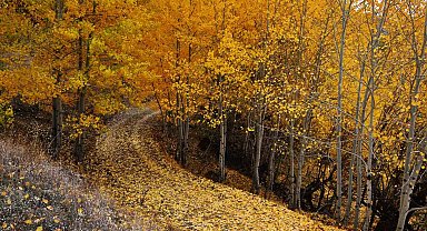 Tunceli'de sonbaharın görsel şöleni