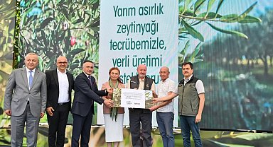 Türkiye'deki delice zeytinleri ekonomiye kazandırılmaya devam ediyor