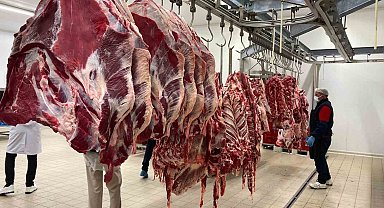 Türkiye'nin 81 ilinde gıda denetimleri eş zamanlı başladı