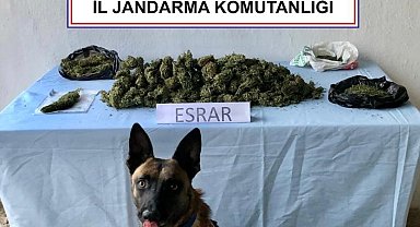 Uyuşturucu operasyonunda 3 gözaltı