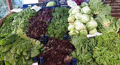 Uzmanından mevsim geçişlerinde beslenme önerileri