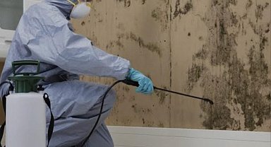 Uzmanlar kokarca böceği ile mücadelede dikkat edilmesi gereken hususlar için uyardı