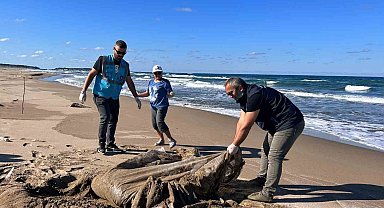 Uzunkum'da kilolarca atık toplandı