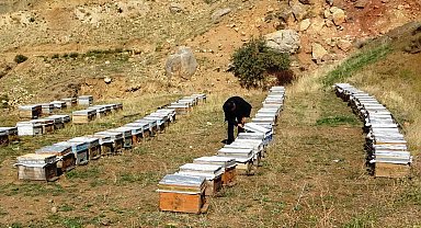 Van Arıcılar Birliği Yönetim Kurulu Üyesi Tandoğan: "Van balı, kesinlikle hak ettiği yerde değildir"