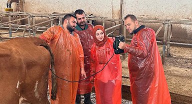 Van Büyükşehir Belediyesi veteriner hekimleri mezbahanelerde ultrasonla kontrol yapacak