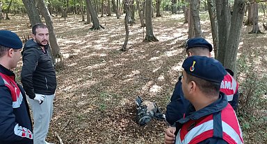 Vatandaş çocuk cesedi sandı, bakın ne çıktı