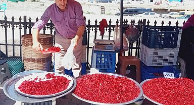 Vitamin deposu kızılcık tezgahlarda yerini aldı