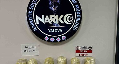 Yalova'da 14 kilo 600 gram skunk ele geçirildi