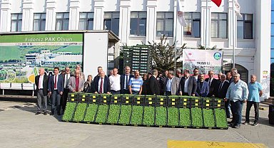Yalova'da çiftçilere 595 bin kıvırcık fidesi dağıtıldı