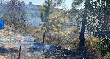 Yangında 150 zeytin ağacı ve baraka zarar gördü