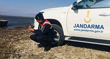 Yaralı ördek jandarma ekiplerince kurtarıldı
