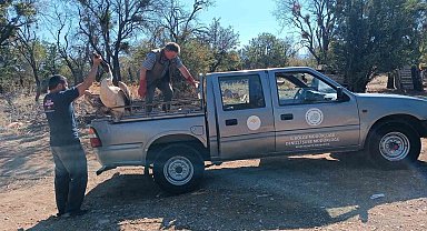 Yaralı pelikan tedavi altına alındı