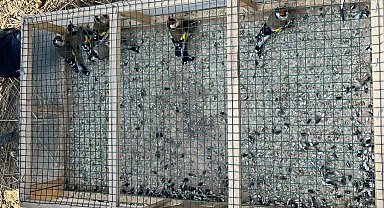 Yasadışı avlanan kişiye 73 bin lira ceza kesildi