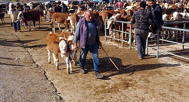 Yasakların ardından Yozgat'ta canlı hayvan pazarlarında yoğunluk sürüyor