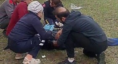 Yaşlı adam tarlada ayının saldırısına uğradı