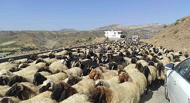 Yayla sezonunu kapatan göçerler, 2 ay süren yolculuğa başladı