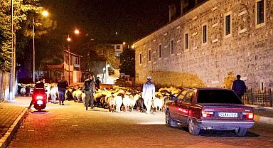 Yayladan indiler şehir merkezinden geçtiler: Koyun sürüsünün yolculuğu kamerada