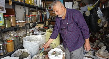 Yüksek tansiyonu olanlara zencefil uyarısı