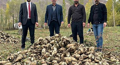Yüksekova'da 30 yıl aradan sonra şeker pancarı hasadı yapıldı