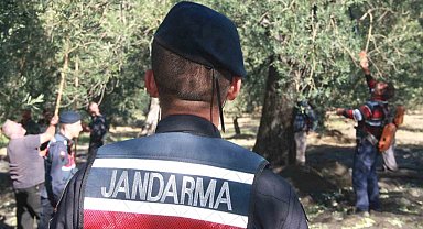 Zeytin bahçeleri jandarma tarafından iHA'lar ve Cobralar ile hırsızlık olaylarına karşı korunacak