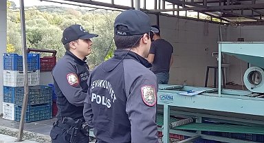 Zeytin bahçelerinde polis göz açtırmıyor