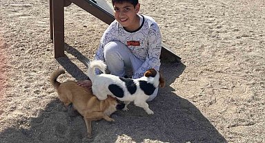 Zihinsel engelli çocuklara at ile terapi