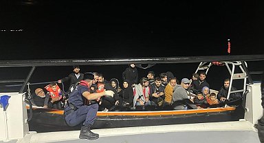 113 düzensiz göçmen yakalandı; 1 gözaltı