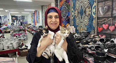 50 yaşında sosyal medya ile hayvanlara yardım eli uzatıyor