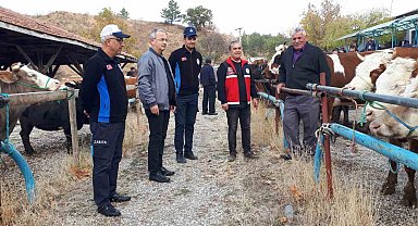 6 aydır kapalı olan Tosya Hayvan Pazarı yeniden açıldı