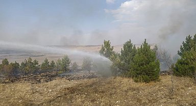 Anız yangını ormana sıçradı