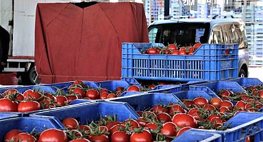 Antalya'da domates miktarı azaldı, sebze miktarı arttı