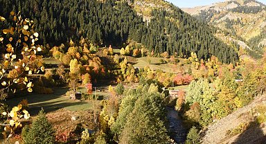 Artvin Şavşat'ta sonbahar renkleri havadan görüntülendi