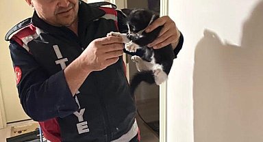 Baca deliğine düşen kedi kurtarıldı