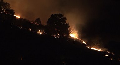 Balıkesir'de orman yangını söndürüldü