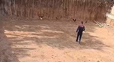 Batman'da itfaiye ekiplerinden 'tavuk kurtarma' operasyonu