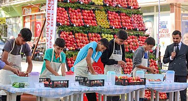Bilecik'te nar hasadı