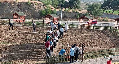 Burhaniye Uygulamalı Bilimler Fakültesi'nde sebze yetiştirilecek