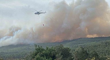 Çanakkale'de orman yangını...Bir köy boşaltıldı