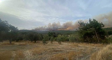 Çanakkale'deki orman yangını devam ediyor