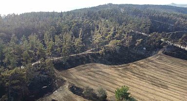 Çanakkale'deki yangında çiftliğinde 5 milyon TL zarar oluştu