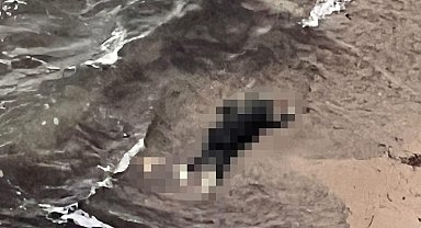 Çeşme'de göçmen faciası: 2 ölü